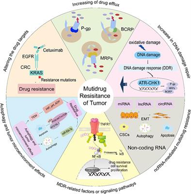 Natural products reverse cancer multidrug resistance
